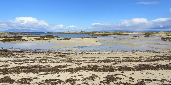Gerahmter Druck : Schottische Küste mit Strand im Frühling Gerahmter Druck : Schottische Küste mit Strand im Frühling