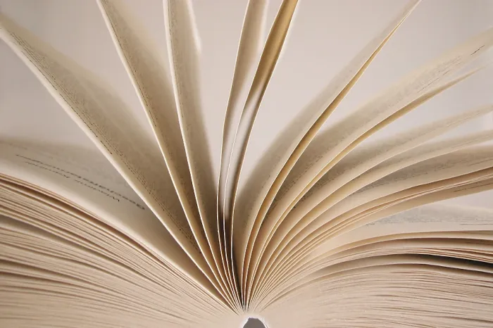 Gerahmter Druck : Im Buch scrollen. Gerahmter Druck : Im Buch scrollen.