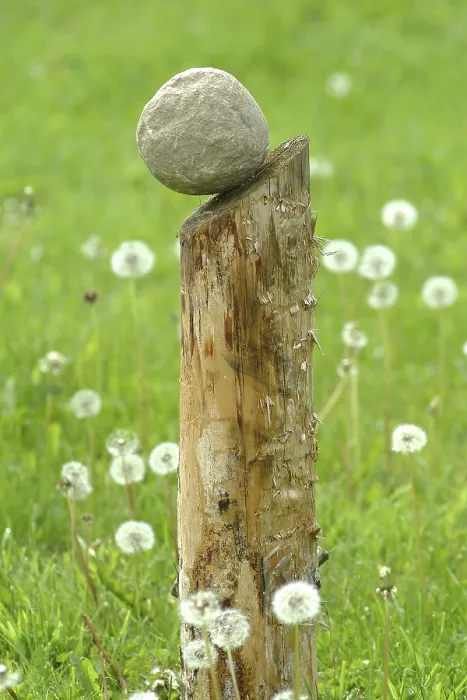 Gerahmter Druck : Sculpture Gerahmter Druck : Sculpture