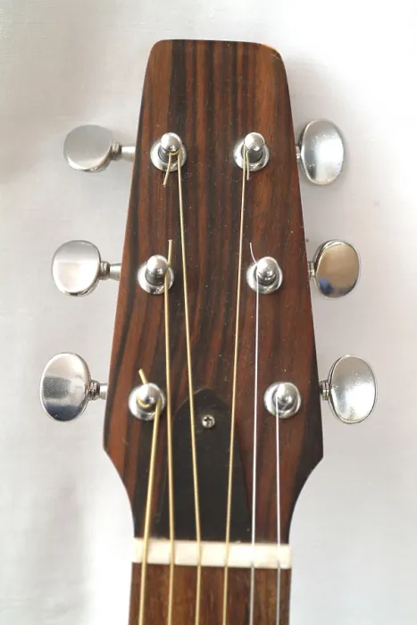 Gerahmter Druck : Seagull-Gitarre Gerahmter Druck : Seagull-Gitarre