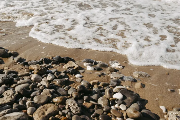 Gerahmter Druck : Küste auf dem Kiesstrand Gerahmter Druck : Küste auf dem Kiesstrand
