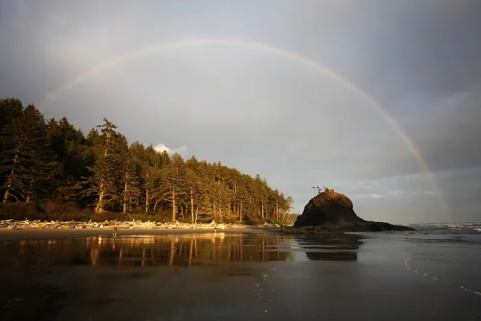 Gerahmter Druck : Zweite Strand bei La Push, Olympic Coast. Gerahmter Druck : Zweite Strand bei La Push, Olympic Coast.