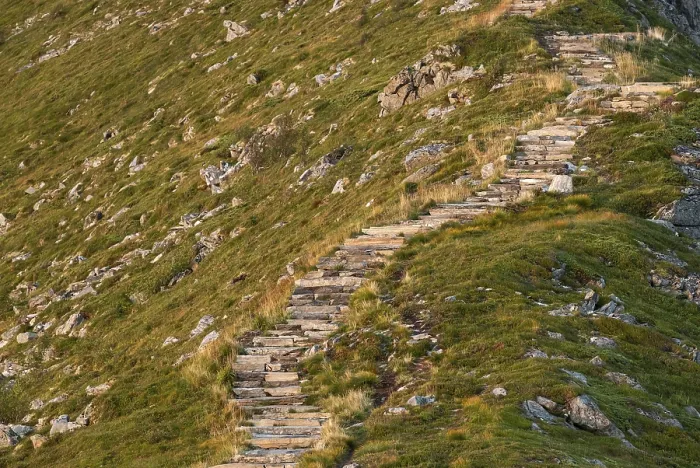 Gerahmter Druck : Abschnitt der Rorsethornet-Stufenstele Gerahmter Druck : Abschnitt der Rorsethornet-Stufenstele
