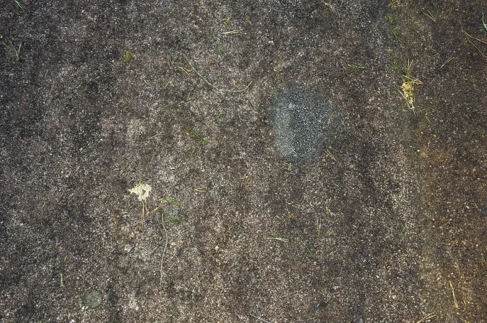Gerahmter Druck : Abschnitt der Vitlycke-Petroglyphen Gerahmter Druck : Abschnitt der Vitlycke-Petroglyphen