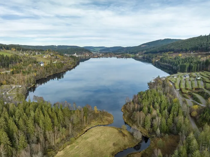 Gerahmter Druck : Der Seebach fließt in den Titisee. Gerahmter Druck : Der Seebach fließt in den Titisee.