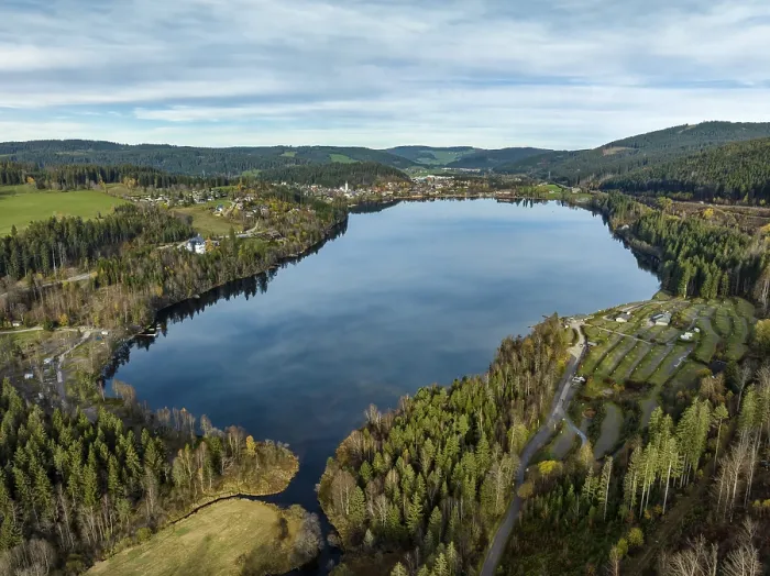 Gerahmter Druck : Der Seebach fließt in den Titisee. Gerahmter Druck : Der Seebach fließt in den Titisee.