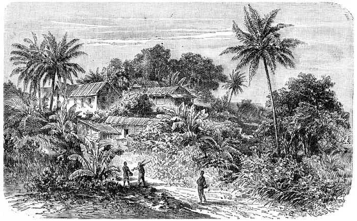 Gerahmter Druck : Für eine Siedlung am Fluss Kamerun. Gerahmter Druck : Für eine Siedlung am Fluss Kamerun.