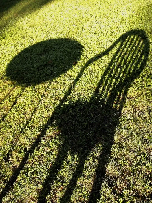 Gerahmter Druck : Schatten eines Tisches und Stuhls auf einem Rasen. Gerahmter Druck : Schatten eines Tisches und Stuhls auf einem Rasen.