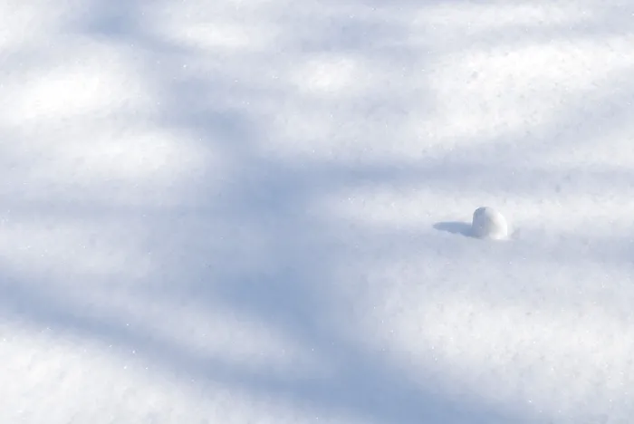 Gerahmter Druck : Schatten von Bäumen auf Schnee. Gerahmter Druck : Schatten von Bäumen auf Schnee.