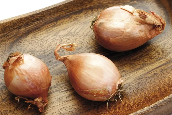 Gerahmter Druck : Zwiebeln (Allium ascalonicum) Gerahmter Druck : Zwiebeln (Allium ascalonicum)