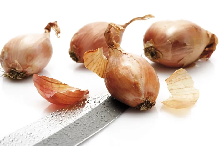 Gerahmter Druck : Zwiebeln (Allium ascalonicum) Gerahmter Druck : Zwiebeln (Allium ascalonicum)