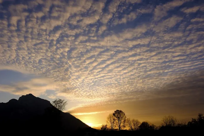 Gerahmter Druck : Schafe Wolken (Altocumulus) am Abend. Gerahmter Druck : Schafe Wolken (Altocumulus) am Abend.