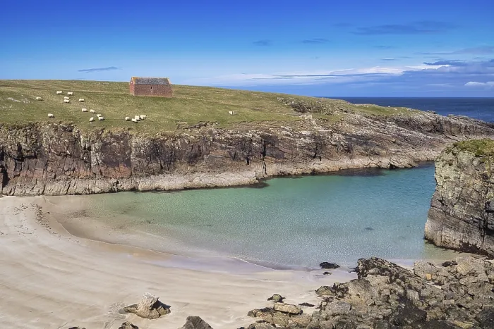 Gerahmter Druck : Schafe an der Küste bei Butt of Lewis.