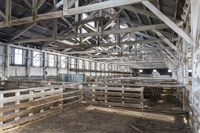 Gerahmter Druck : Schurzäune im Schurhaus. Gerahmter Druck : Schurzäune im Schurhaus.