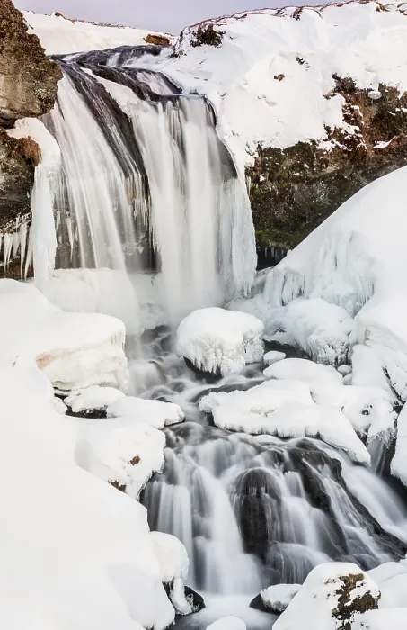 Gerahmter Druck : Schafe-Wasserfall am Schnee Gerahmter Druck : Schafe-Wasserfall am Schnee