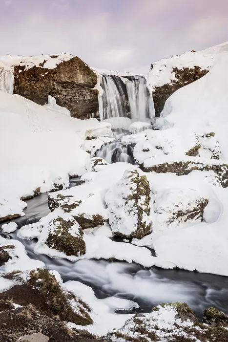 Gerahmter Druck : Schafe am Wasserfall im Schnee Gerahmter Druck : Schafe am Wasserfall im Schnee