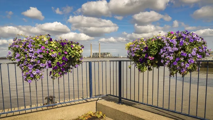 Gerahmter Druck : Der Ufer der Themse in Gravesend.