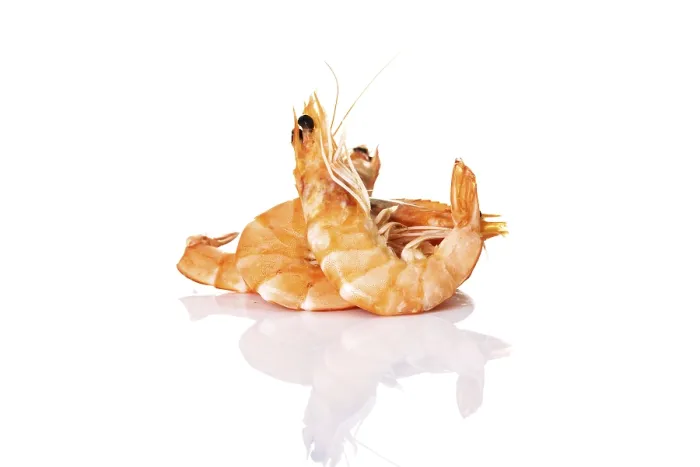Gerahmter Druck : Shrimps Gerahmter Druck : Shrimps