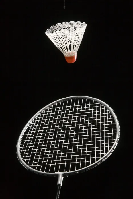 Gerahmter Druck : Shuttlecock Gerahmter Druck : Shuttlecock