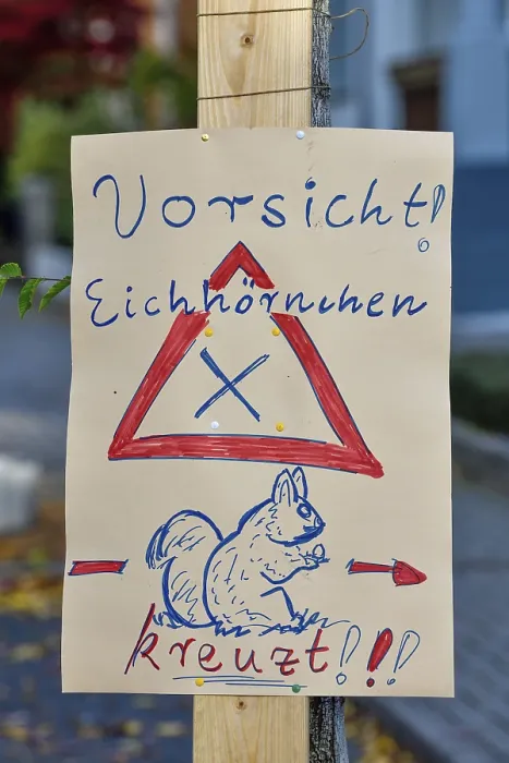 Gerahmter Druck : Warnschild Squirrel kreuzt, Achern Gerahmter Druck : Warnschild Squirrel kreuzt, Achern