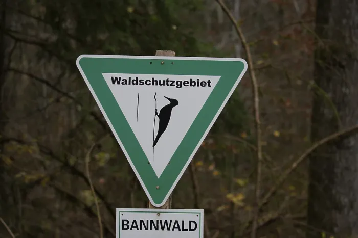 Gerahmter Druck : Schild im Wald, geschützter Wald. Gerahmter Druck : Schild im Wald, geschützter Wald.