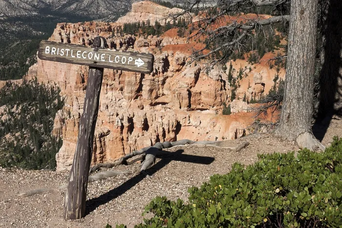 Gerahmter Druck : Schild, Bristlecone-Pinien-Rundweg. Gerahmter Druck : Schild, Bristlecone-Pinien-Rundweg.
