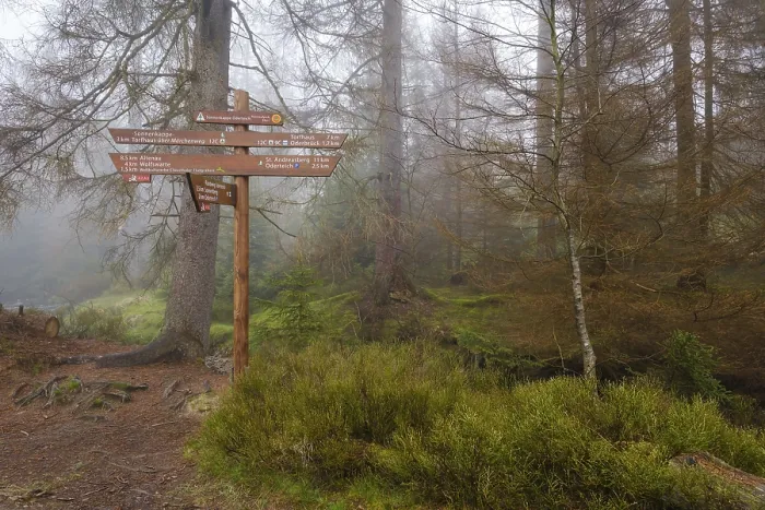Gerahmter Druck : Schild am Oderteich, Nebel Gerahmter Druck : Schild am Oderteich, Nebel