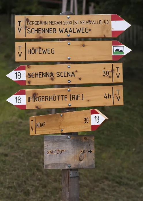 Gerahmter Druck : Schilder, Schildwald, Schilder. Gerahmter Druck : Schilder, Schildwald, Schilder.