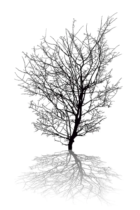 Gerahmter Druck : Bewölktes Winterlandschaft mit Silhouette eines kahlen Baumes und Schatten, weißer Hintergrund, Rumänien Gerahmter Druck : Bewölktes Winterlandschaft mit Silhouette eines kahlen Baumes und Schatten, weißer Hintergrund, Rumänien