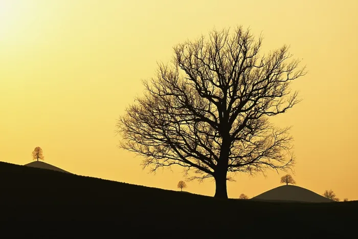 Gerahmter Druck : Silhouetten eines Eichenbaums (Quercus). Gerahmter Druck : Silhouetten eines Eichenbaums (Quercus).