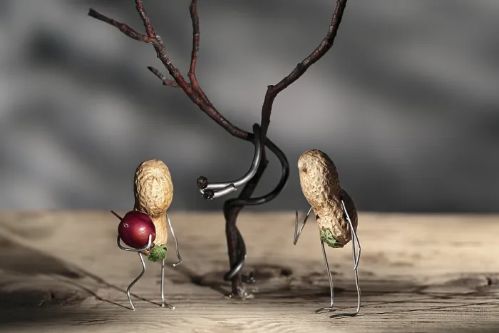 Gerahmter Druck : Einfache Dinge, im Paradies. Gerahmter Druck : Einfache Dinge, im Paradies.