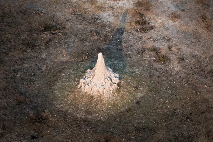 Gerahmter Druck : Ein einzelner Termitenhügel, Landschaft. Gerahmter Druck : Ein einzelner Termitenhügel, Landschaft.