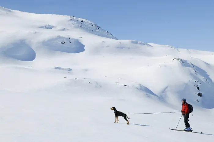Gerahmter Druck : Skifahren in Sunnmore Gerahmter Druck : Skifahren in Sunnmore