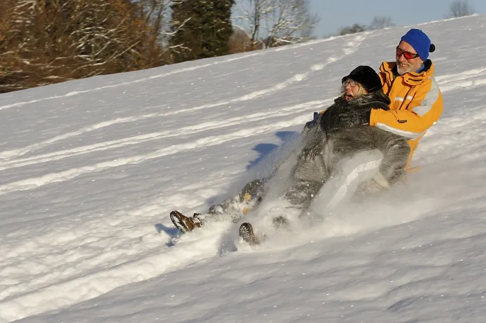 Gerahmter Druck : Sledding Gerahmter Druck : Sledding