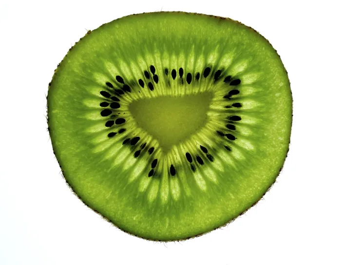 Gerahmter Druck : Kiwi-Stück Gerahmter Druck : Kiwi-Stück