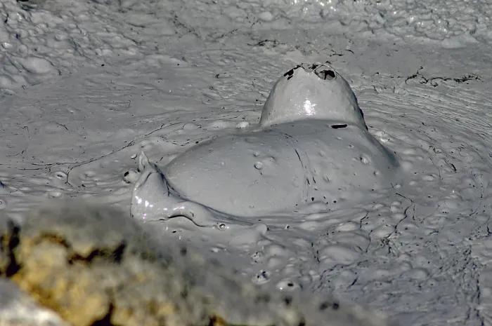 Gerahmter Druck : Bubbelfreudige Schlammquellen in einer kahlen, mondähnlichen Landschaft bei Namaskaro, Myvatn, Island