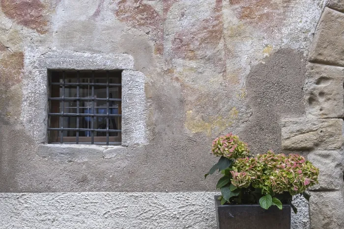 Gerahmter Druck : Kleiner gestreifter Fenster, Blumentopf mit Hydrangea. Gerahmter Druck : Kleiner gestreifter Fenster, Blumentopf mit Hydrangea.