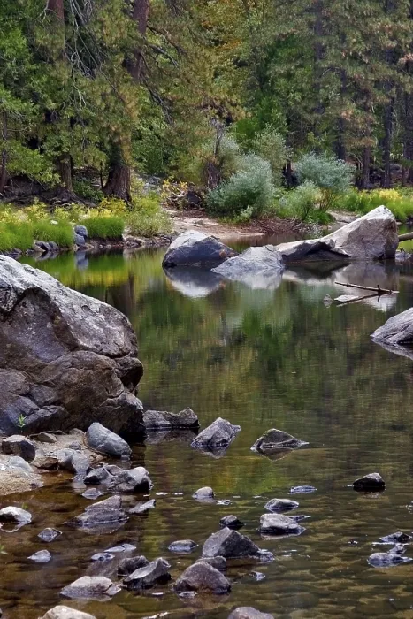 Gerahmter Druck : Ein kleiner Bach im Sequoia Park. Gerahmter Druck : Ein kleiner Bach im Sequoia Park.