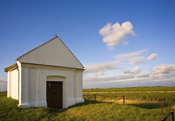 Gerahmter Druck : Kleine Kapelle vor Weinbergen.