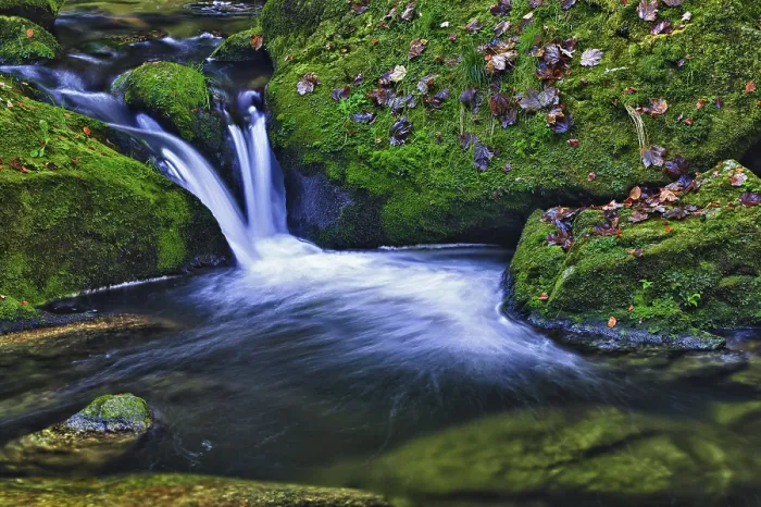 Gerahmter Druck : Ein kleiner Bach in einem Wald mit Wasserfall. Gerahmter Druck : Ein kleiner Bach in einem Wald mit Wasserfall.