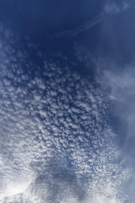 Gerahmter Druck : Kleine weiche Wolken (Cirrocumulus) Gerahmter Druck : Kleine weiche Wolken (Cirrocumulus)