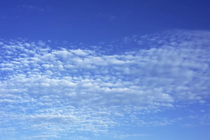 Gerahmter Druck : Kleine weiche Wolken, Cirrocumulus. Gerahmter Druck : Kleine weiche Wolken, Cirrocumulus.