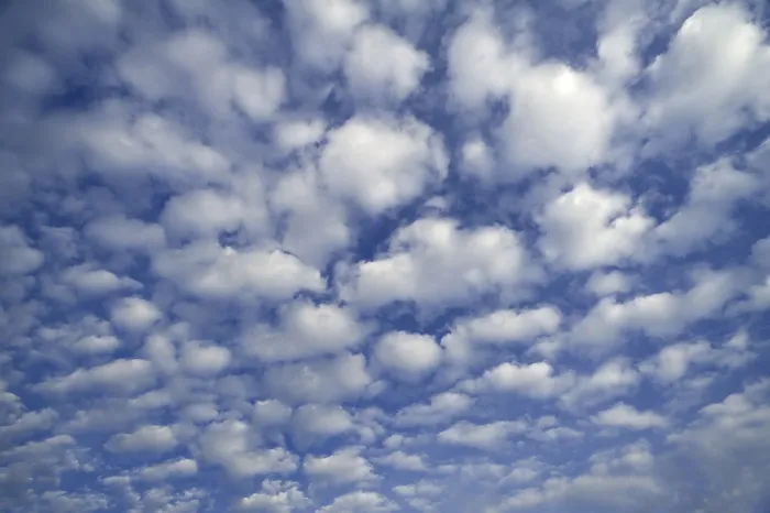 Gerahmter Druck : Kleine weiche Wolken, Cirrocumulus. Gerahmter Druck : Kleine weiche Wolken, Cirrocumulus.