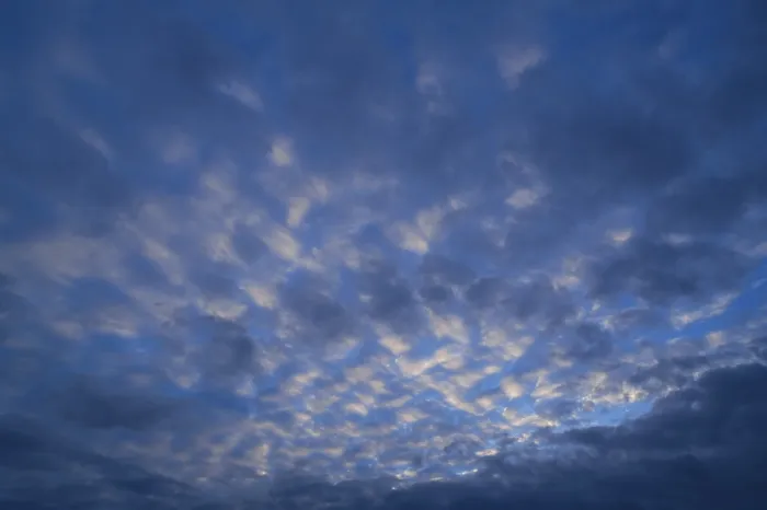 Gerahmter Druck : Kleine weiche Wolken, Cirrocumulus. Gerahmter Druck : Kleine weiche Wolken, Cirrocumulus.
