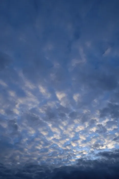 Gerahmter Druck : Cirrocumulus-Wolken Gerahmter Druck : Cirrocumulus-Wolken
