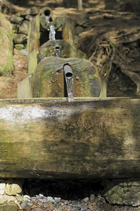 Gerahmter Druck : Kleiner Waldbach Gerahmter Druck : Kleiner Waldbach