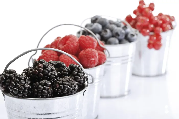 Gerahmter Druck : Vier kleine galvanisierte Eimer mit roten Johannisbeeren. Gerahmter Druck : Vier kleine galvanisierte Eimer mit roten Johannisbeeren.