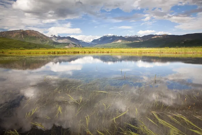 Gerahmter Druck : Kleiner See, Alaska-Ranges-Bergkette Gerahmter Druck : Kleiner See, Alaska-Ranges-Bergkette