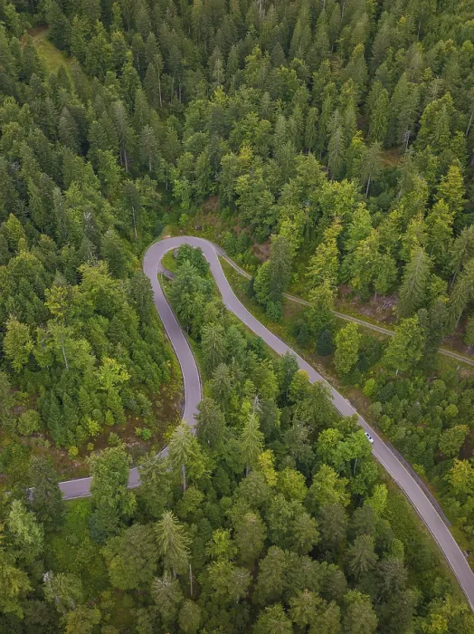 Gerahmter Druck : Kleine Straße windet sich durch dichten Wald. Gerahmter Druck : Kleine Straße windet sich durch dichten Wald.