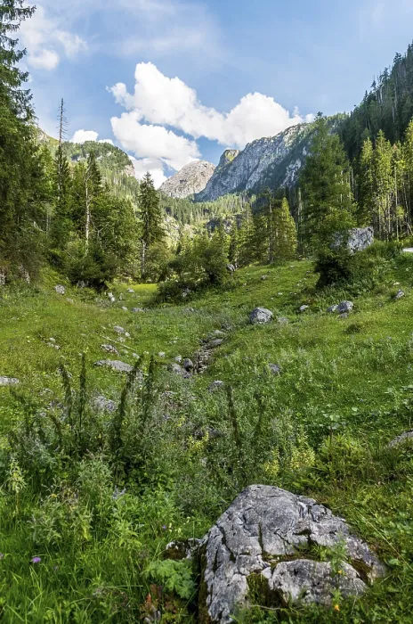 Gerahmter Druck : Bett eines kleinen Baches im Tal. Gerahmter Druck : Bett eines kleinen Baches im Tal.